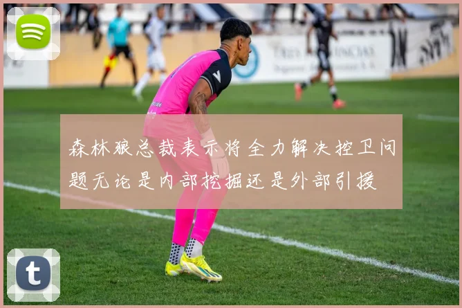 森林狼总裁表示将全力解决控卫问题无论是内部挖掘还是外部引援