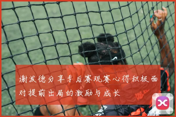 谢泼德分享季后赛观赛心得积极面对提前出局的激励与成长