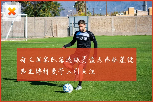 荷兰国家队落选球员盘点弗林蓬德弗里博特曼等人引关注