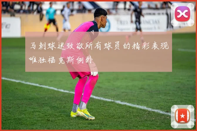 马刺球迷致敬所有球员的精彩表现唯独福克斯例外