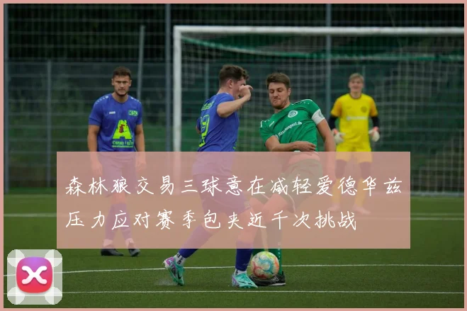 森林狼交易三球意在减轻爱德华兹压力应对赛季包夹近千次挑战